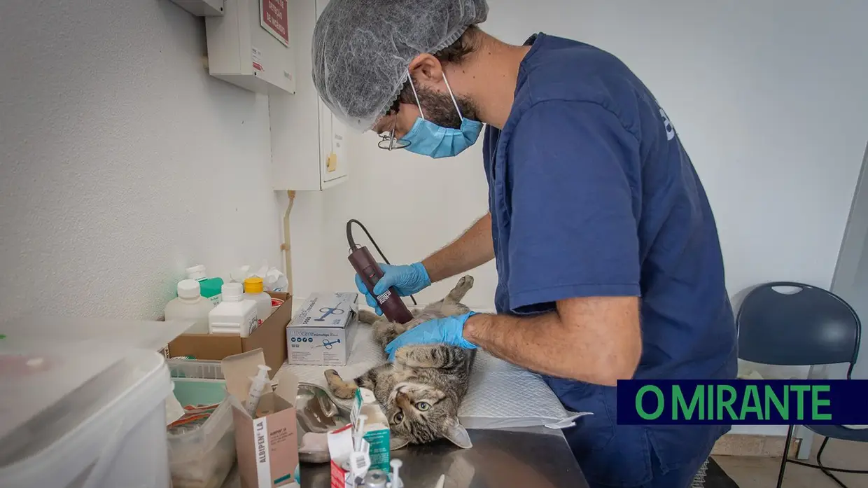 Câmara de Abrantes inaugura bloco operatório e apresenta ambulância animal no Centro de Recolha Oficial