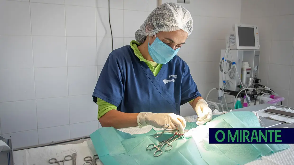 Câmara de Abrantes inaugura bloco operatório e apresenta ambulância animal no Centro de Recolha Oficial