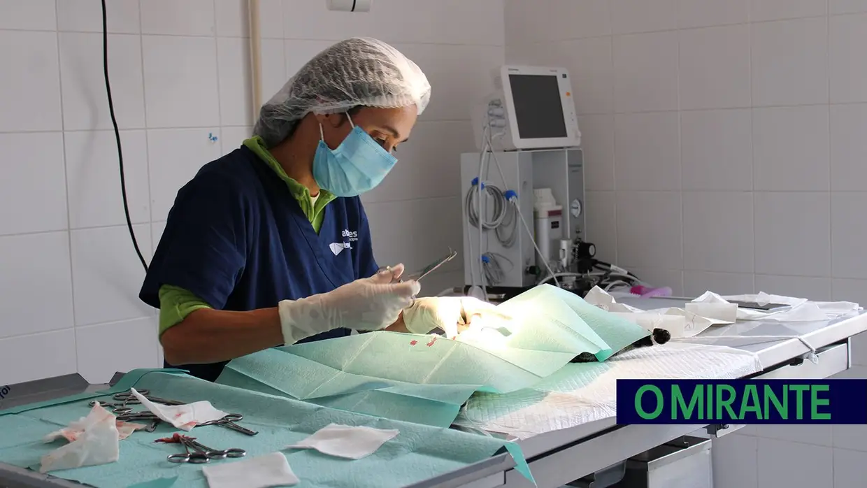 Câmara de Abrantes inaugura bloco operatório e apresenta ambulância animal no Centro de Recolha Oficial