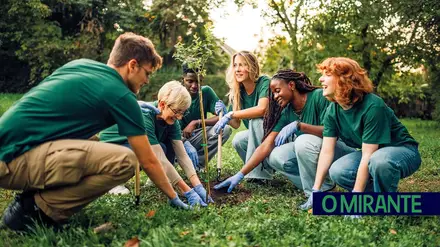 Grupo Vomera anuncia lançamento da marca UP Team