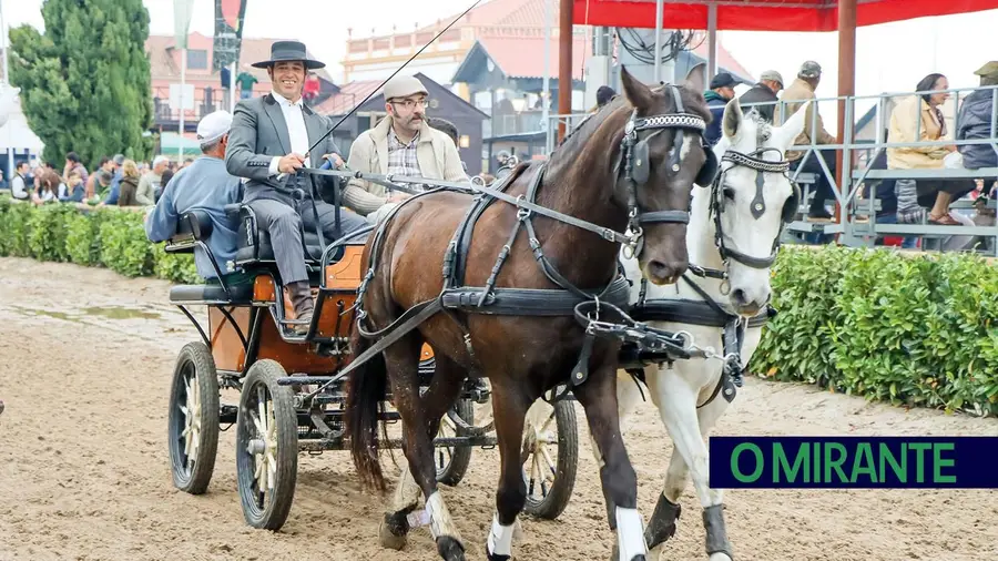 Golegã, capital do Cavalo, recebe visitantes de todo o país e do mundo