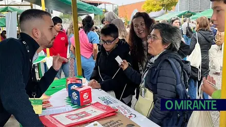 Escolas do distrito de Santarém recolheram mais de 17 toneladas de resíduos