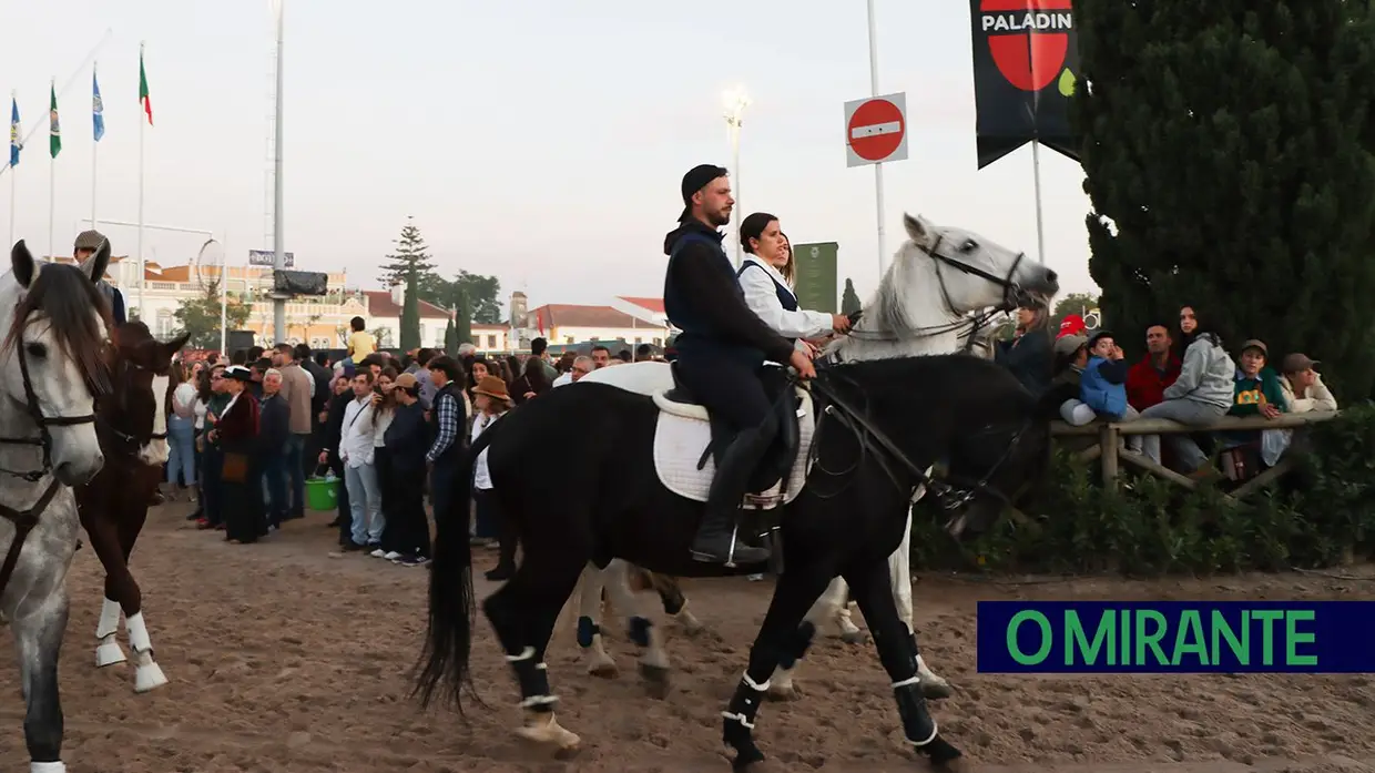 Feira do Cavalo na Golegã marcada por homenagens e com mais investimento