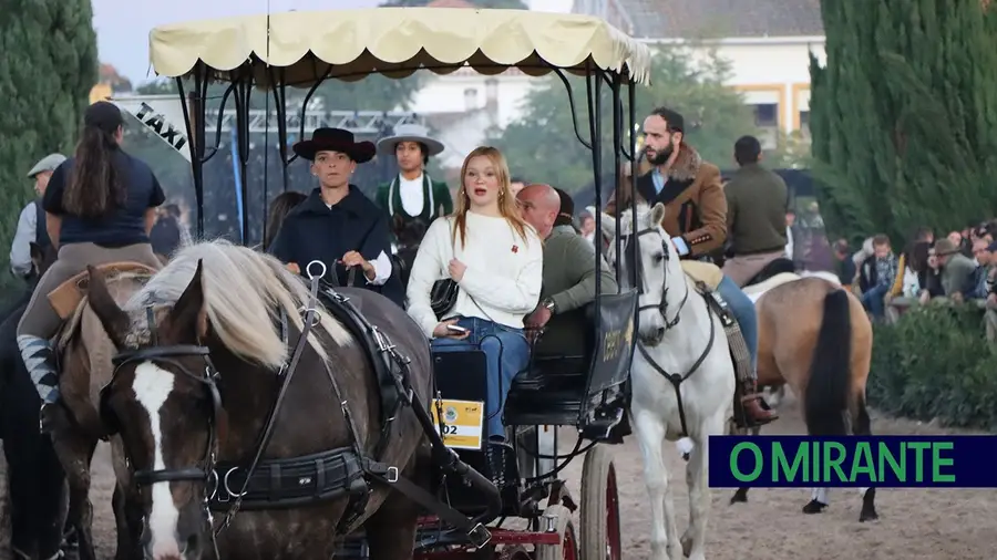 Feira de S. Martinho na Golegã foi assunto mais visto da semana