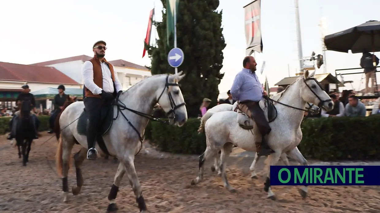 Feira do Cavalo na Golegã marcada por homenagens e com mais investimento