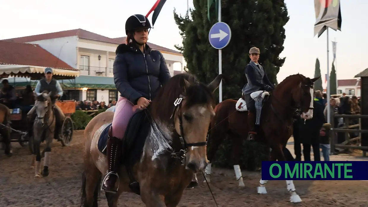 Feira do Cavalo na Golegã marcada por homenagens e com mais investimento