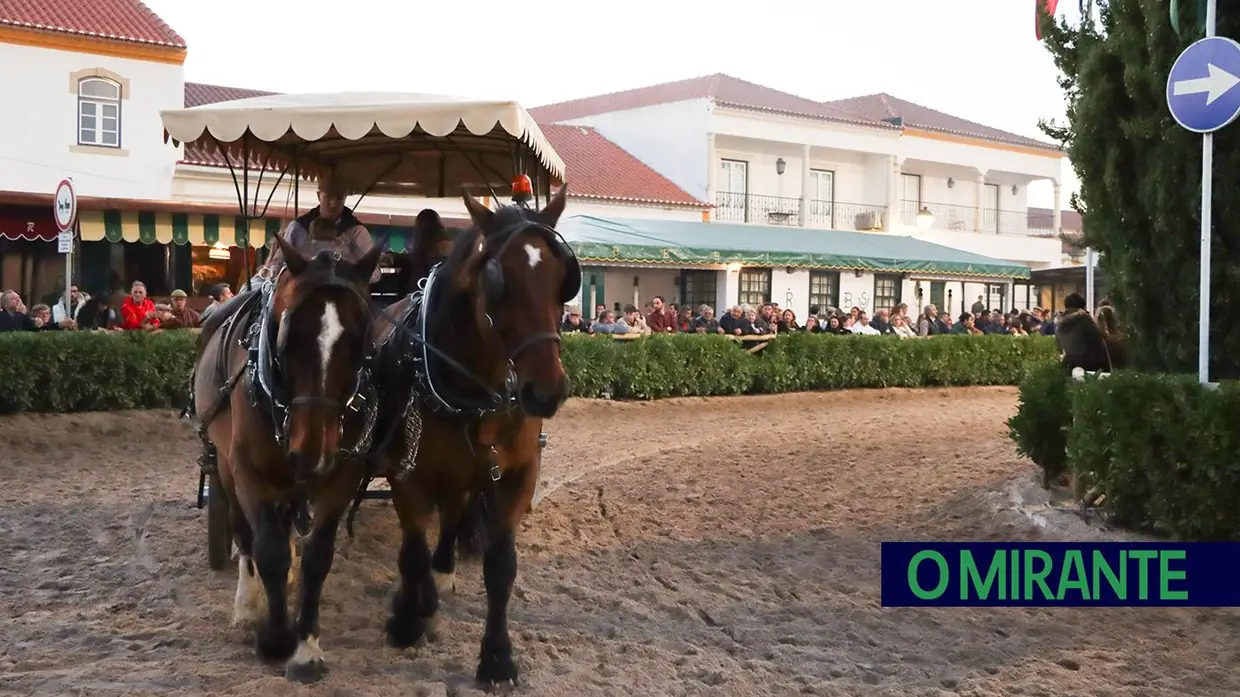 Feira do Cavalo na Golegã marcada por homenagens e com mais investimento