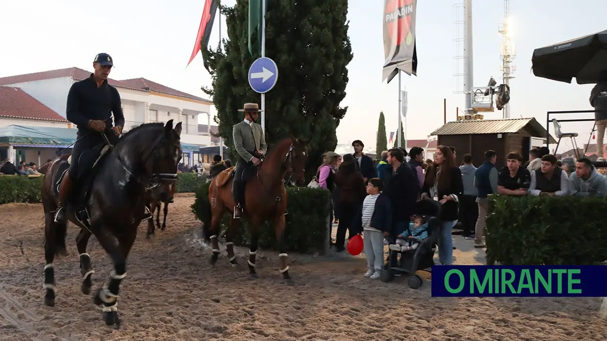Feira do Cavalo na Golegã marcada por homenagens e com mais investimento