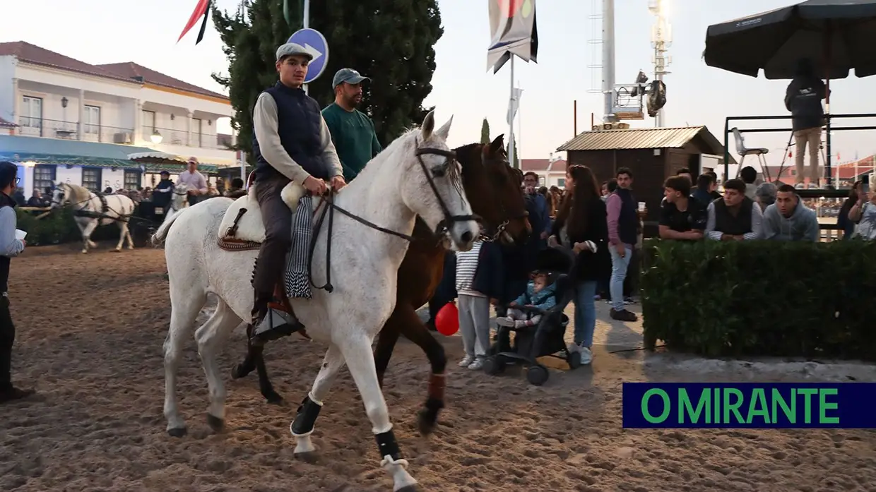 Feira do Cavalo na Golegã marcada por homenagens e com mais investimento