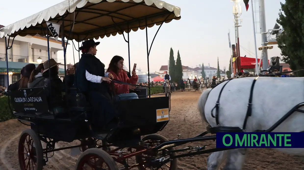 Feira do Cavalo na Golegã marcada por homenagens e com mais investimento
