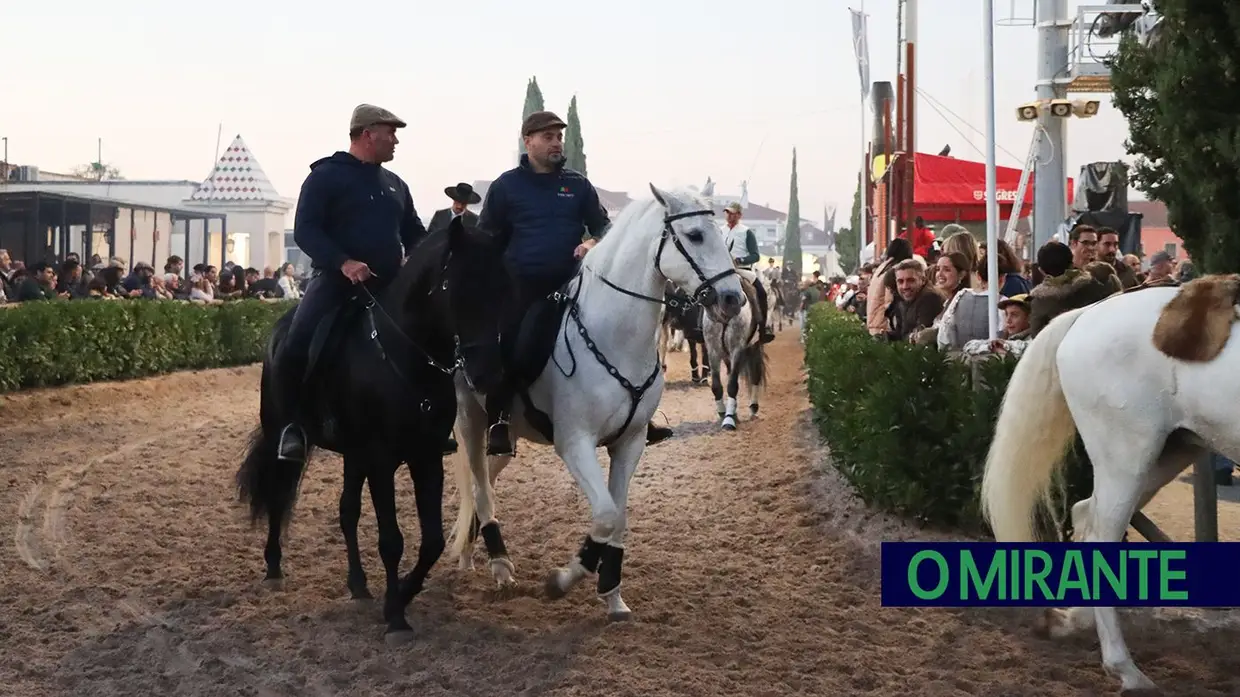 Feira do Cavalo na Golegã marcada por homenagens e com mais investimento