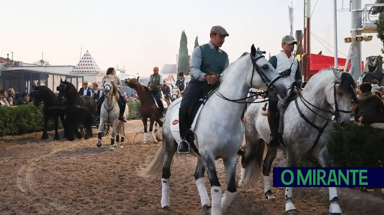 Feira do Cavalo na Golegã marcada por homenagens e com mais investimento