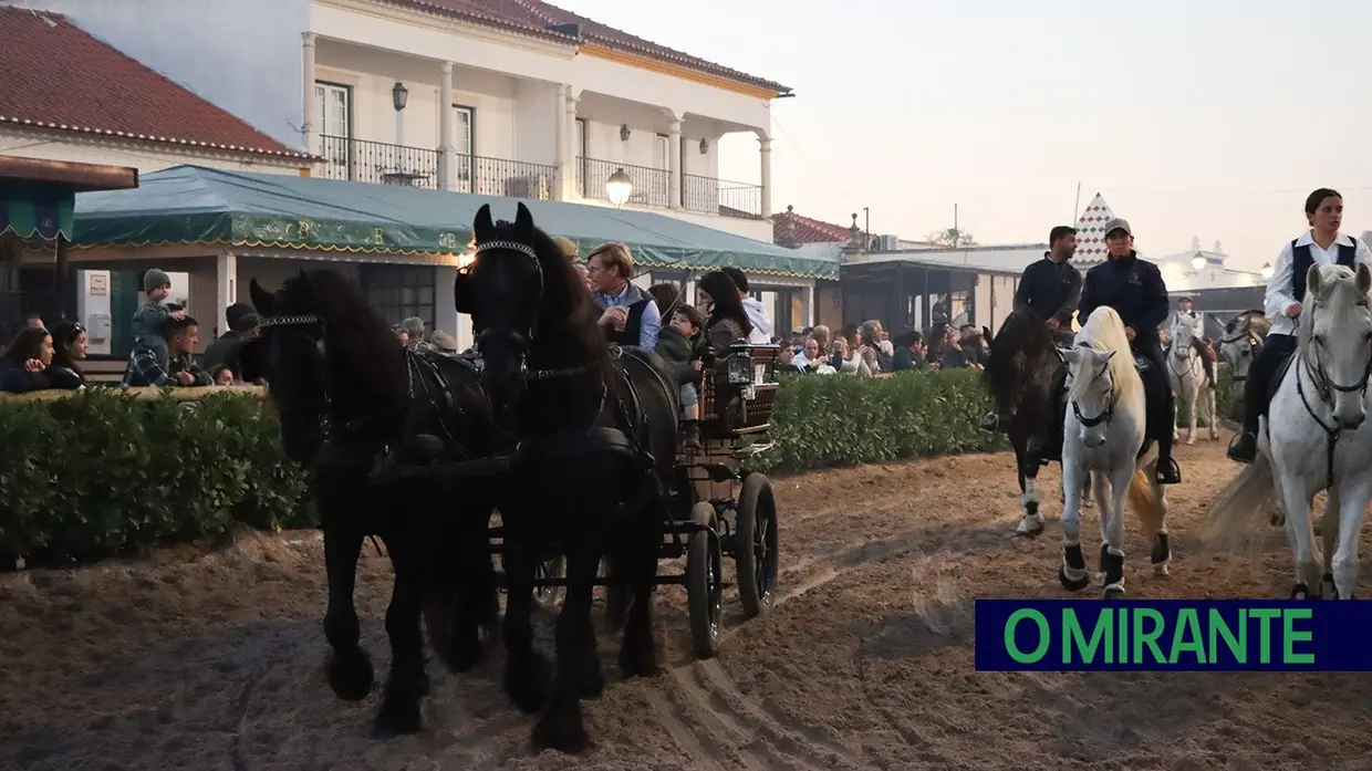 Feira do Cavalo na Golegã marcada por homenagens e com mais investimento