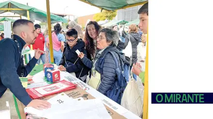 Escolas do distrito de Santarém recolheram mais de 17 toneladas de resíduos