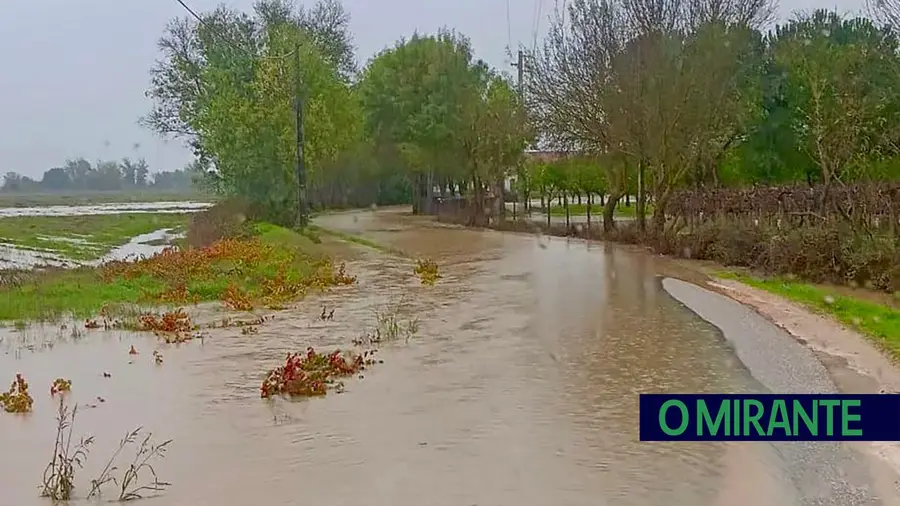 Estrada entre Ribeira de Santarém e Vale de Figueira está submersa