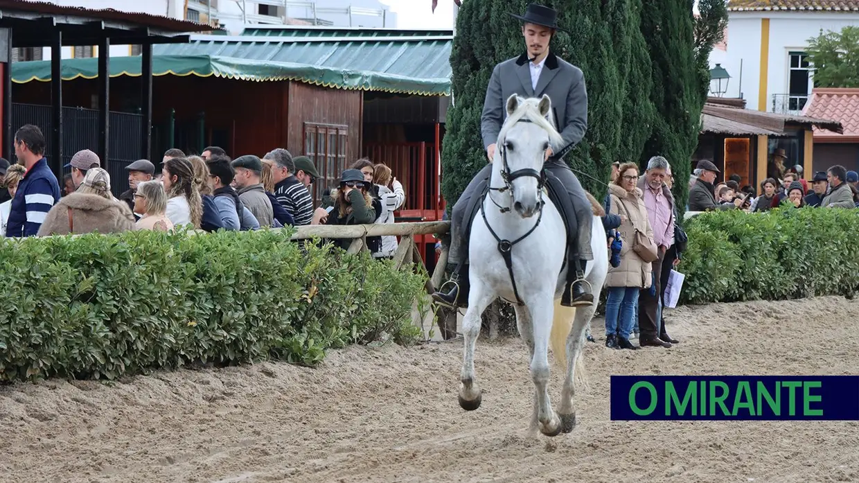 Feira Nacional do Cavalo na Golegã com perto de um milhão de visitantes