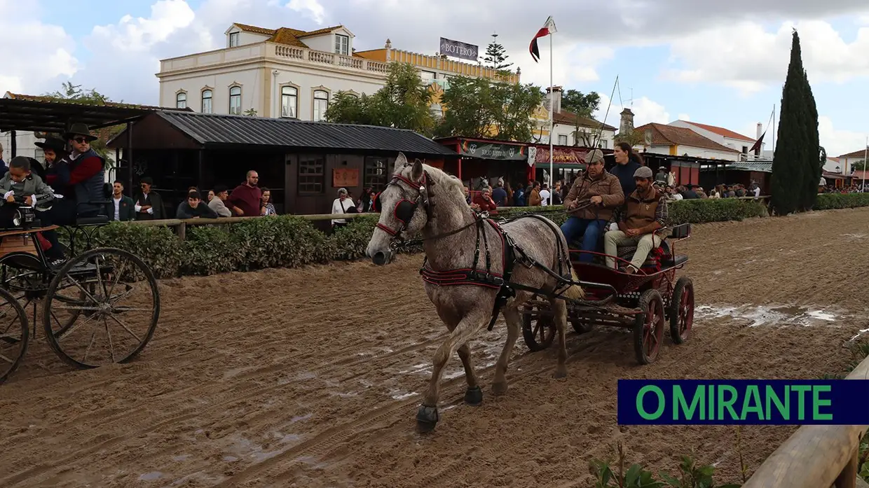 Feira Nacional do Cavalo na Golegã com perto de um milhão de visitantes