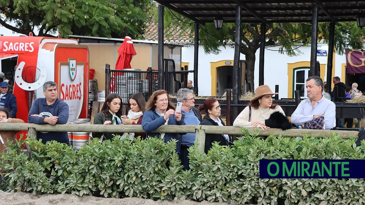 Feira Nacional do Cavalo na Golegã com perto de um milhão de visitantes