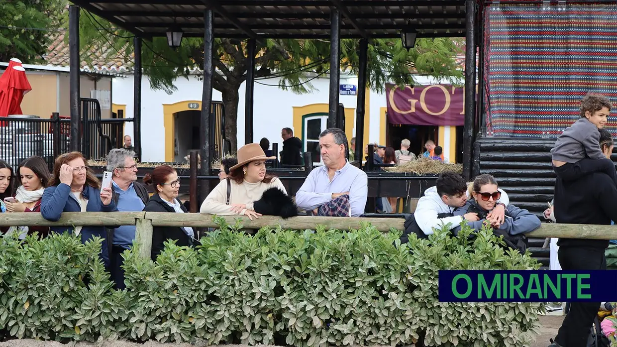 Feira Nacional do Cavalo na Golegã com perto de um milhão de visitantes