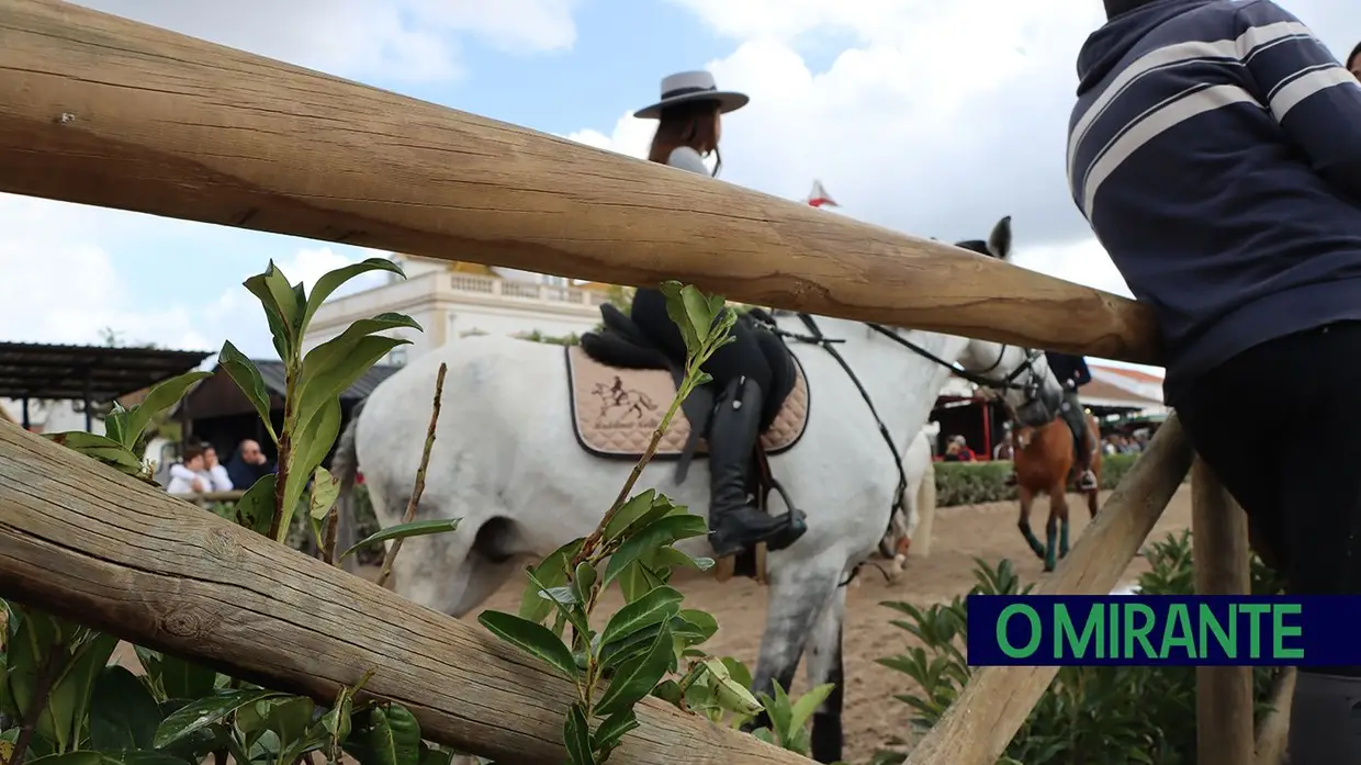 Feira Nacional do Cavalo na Golegã com perto de um milhão de visitantes