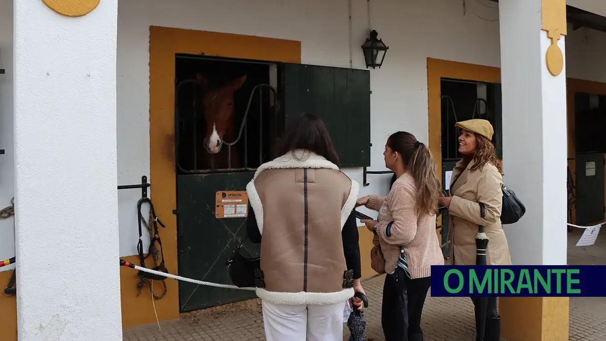 Feira Nacional do Cavalo na Golegã com perto de um milhão de visitantes