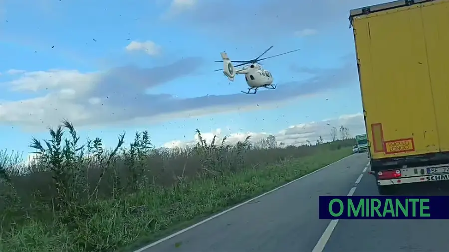 Dois feridos graves após despiste em Coruche