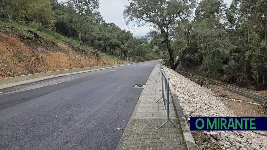 Rua do Rone na Chamusca reabre ao trânsito após obras de estabilização