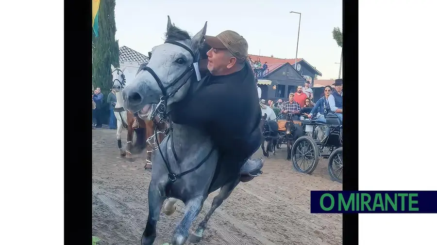Feira do Cavalo na Golegã cada vez mais eclética