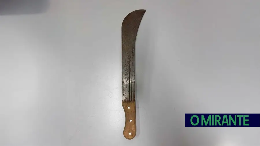 Detido em Azambuja por posse de arma proibida