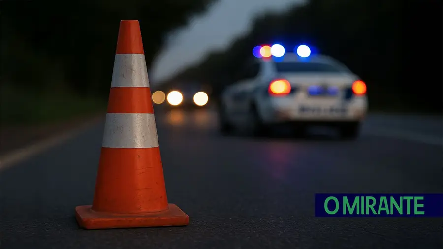 Dois detidos sem carta durante operação na EN10 em Alhandra