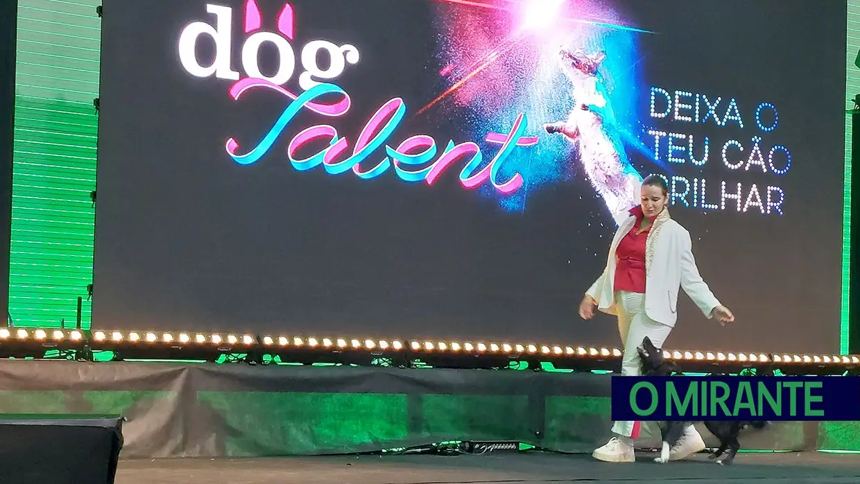 petMaxi comemora 10 anos e inaugura armazém automático