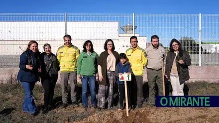 Crianças de Coruche plantaram dezenas de sobreiros em zona industrial