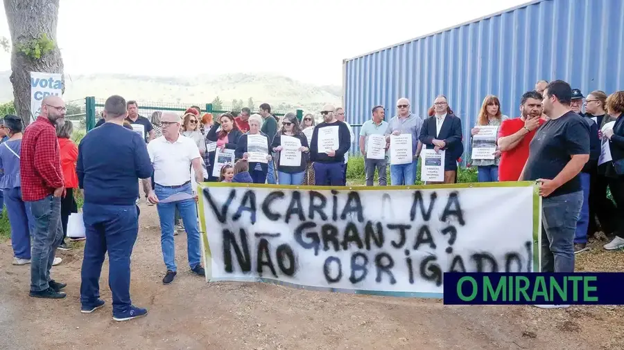 Tribunal rejeita providência cautelar contra vacaria na Granja, mas câmara vai recorrer