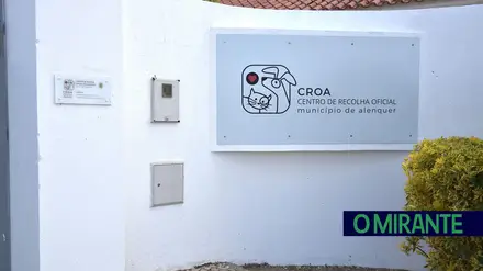 CROA Alenquer suspende adopções de animais durante época natalícia