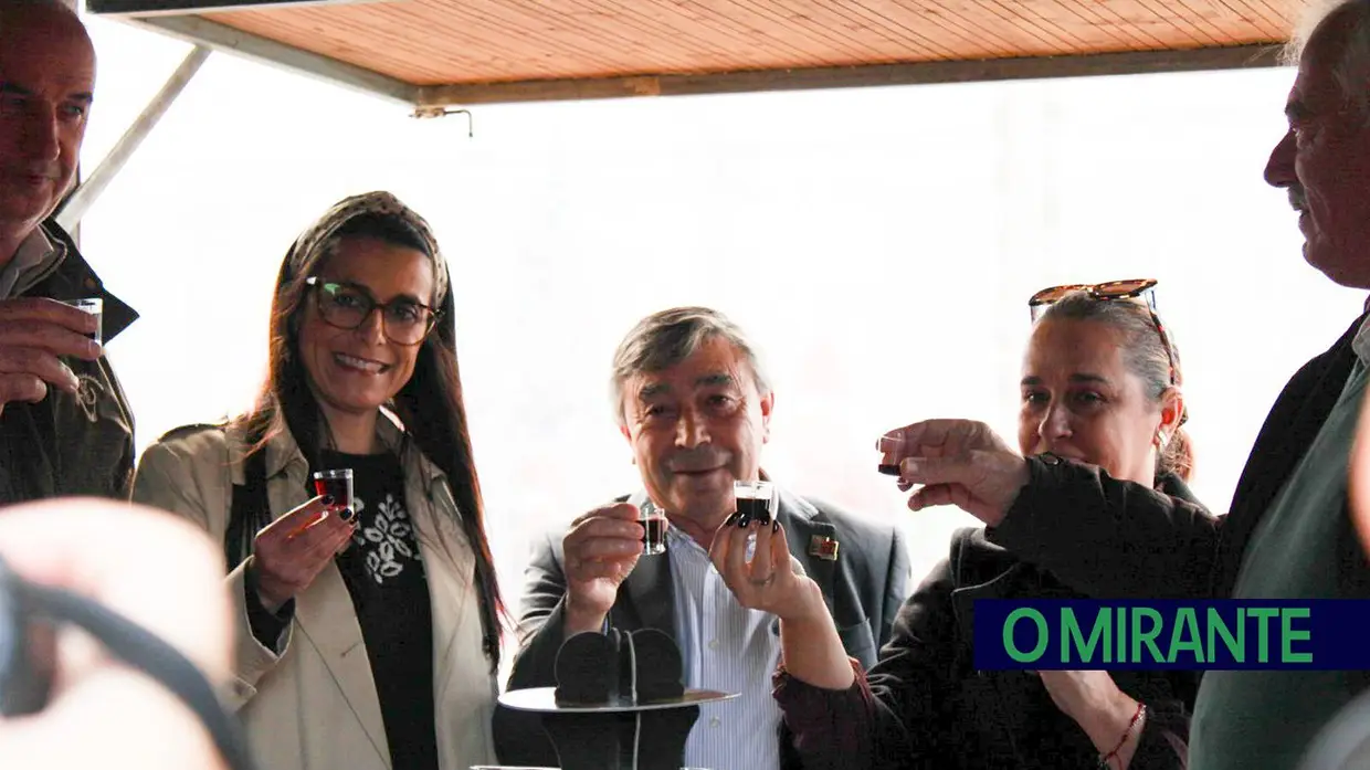 Azambuja inaugurou o “Jardim do Natal” que promete muita animação até Janeiro