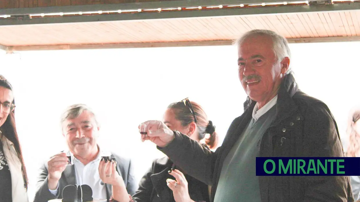 Azambuja inaugurou o “Jardim do Natal” que promete muita animação até Janeiro