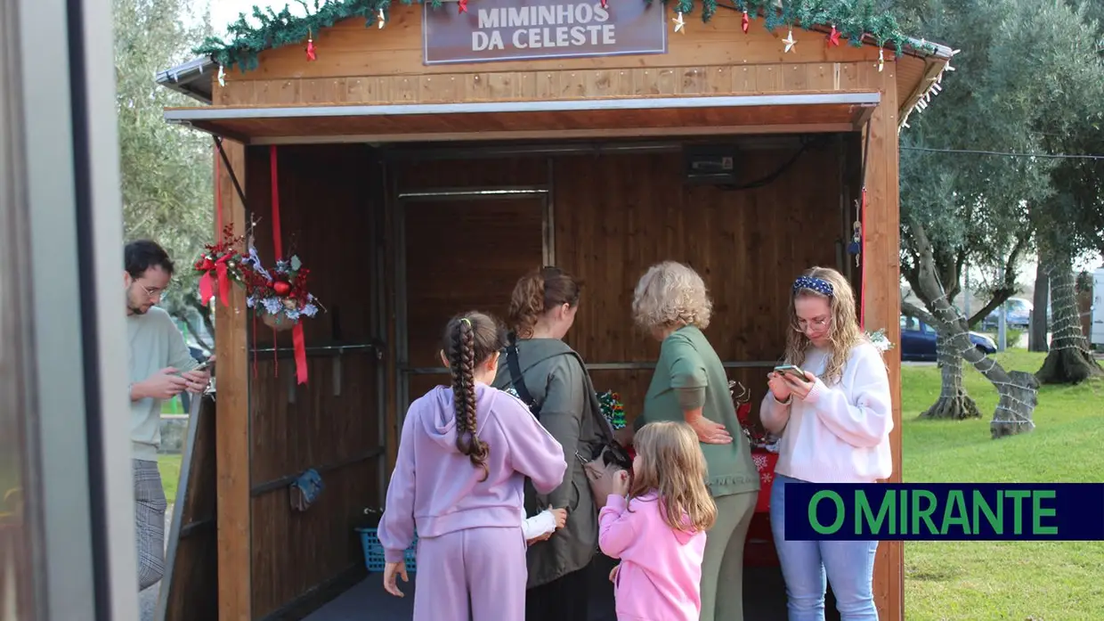 Azambuja inaugurou o “Jardim do Natal” que promete muita animação até Janeiro