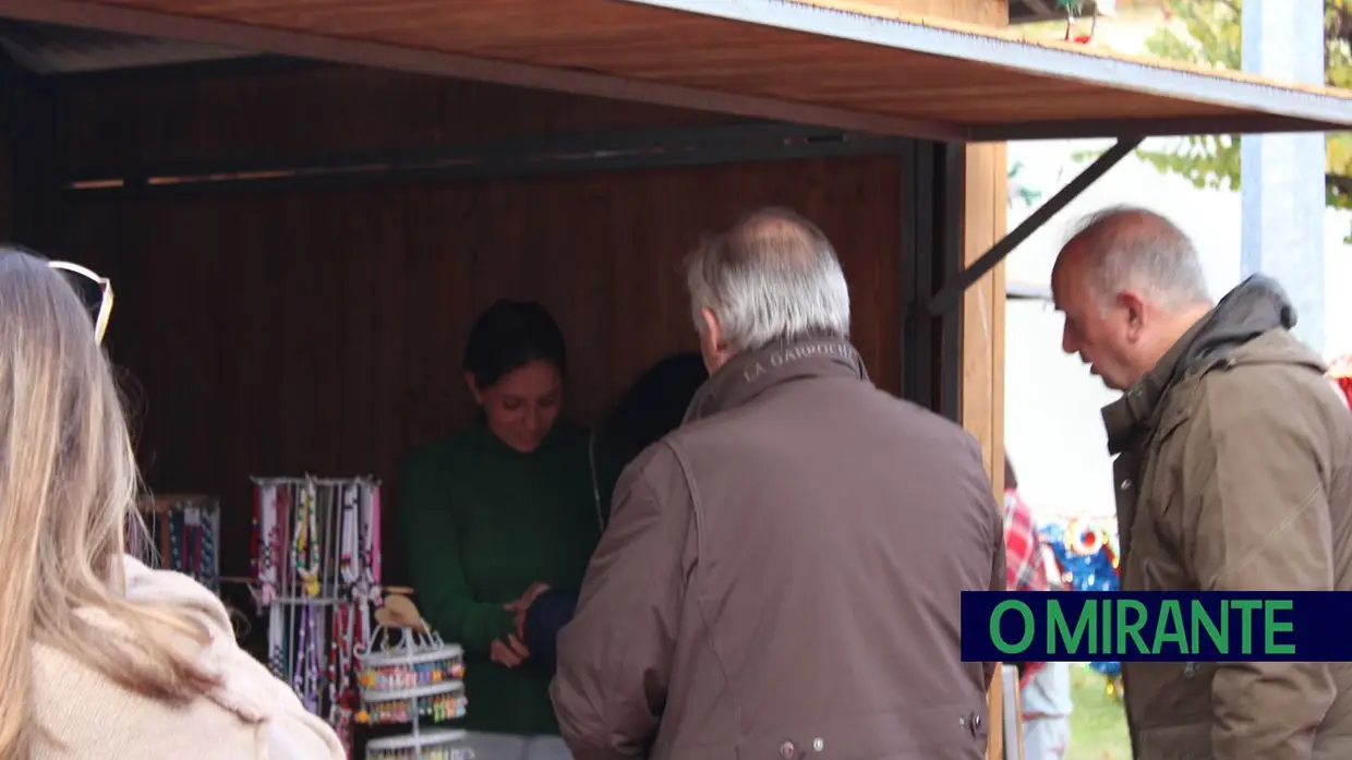 Azambuja inaugurou o “Jardim do Natal” que promete muita animação até Janeiro