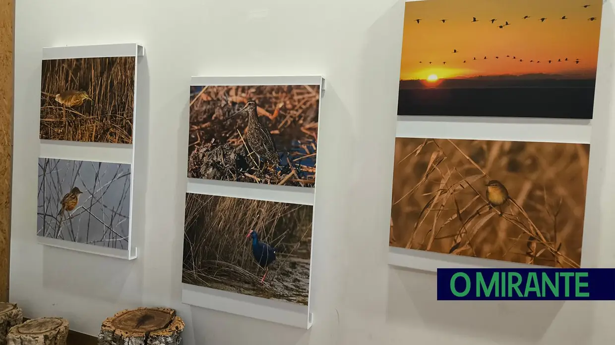 Exposição fotográfica celebra 13 anos de vida do EVOA