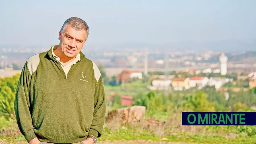 Assaltante usa empilhadora para arrombar e furtar milhares de euros de empresa de Tomar