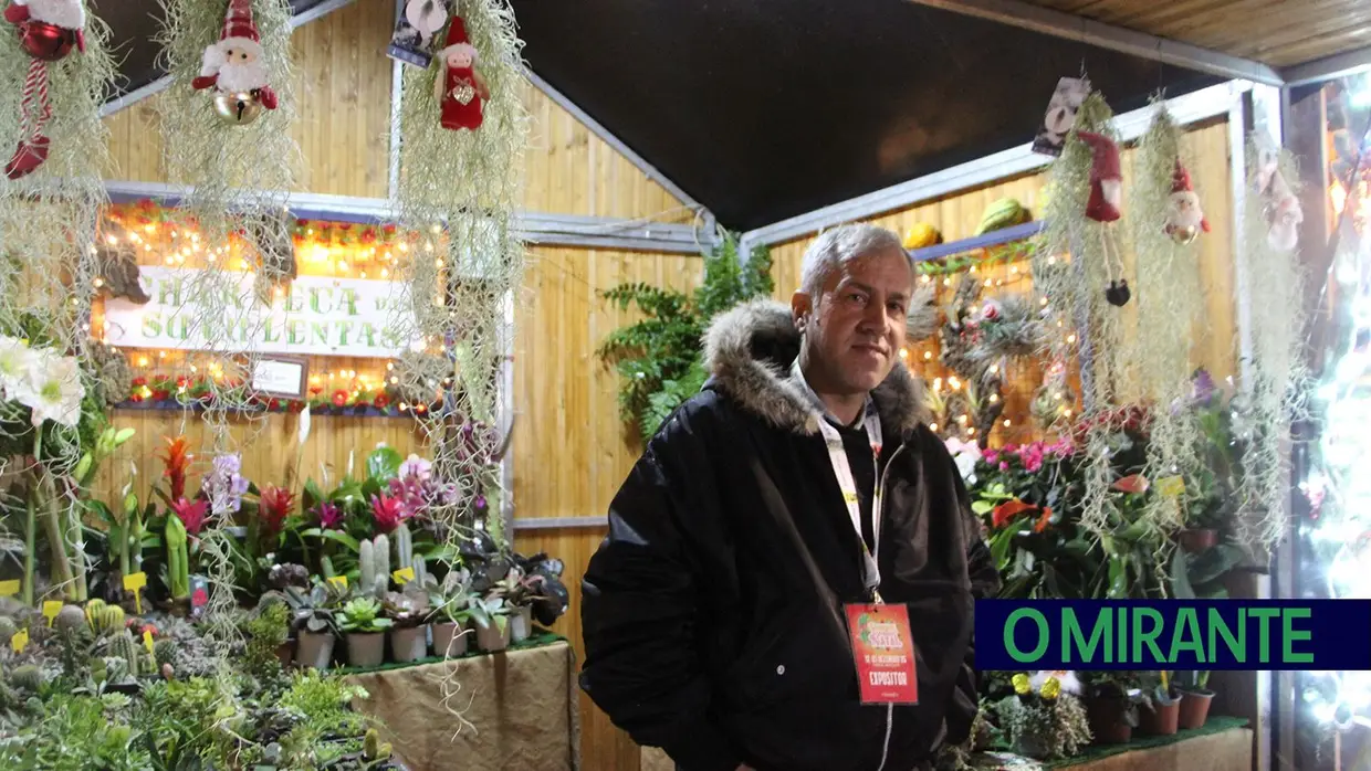 Parque dos Sonhos já abriu na Chamusca