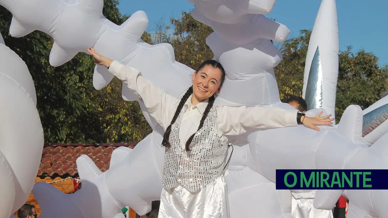 Parada de Natal animou centro de Santarém