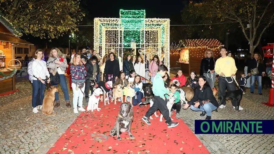 Cãominhada animou Santarém na época natalícia