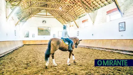 Formador no centro hípico de Azambuja detido por suspeitas de abuso sexual de alunos menores
