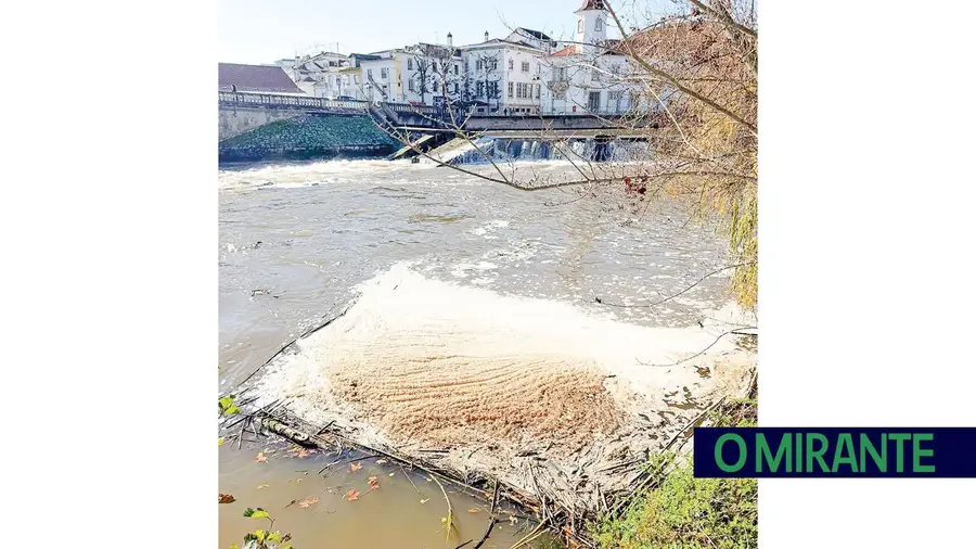 Câmara de Tomar exige intervenção urgente na defesa do rio Nabão