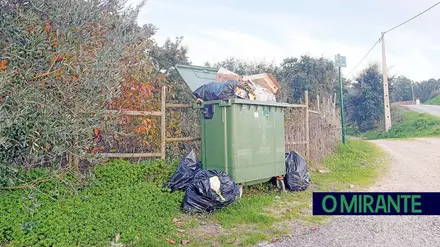Dois irmãos de Azambuja e um cenário de terceiro mundo