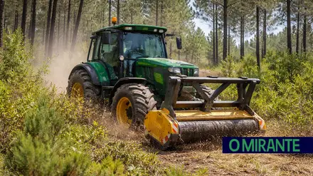 tractor floresta gestao florestal