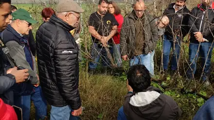 Evento de poda da vinha para o público em Alcanhões