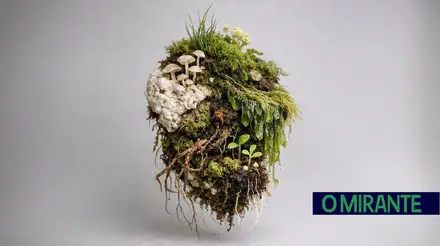 bio escultura natureza