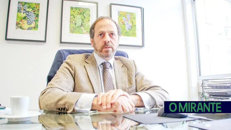 Sector vitivinícola espera atingir mil milhões de euros em exportações já em 2026